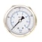 Pic Gauges 2 1/2 in Dial, 1/4 in NPT Male Center Back Location, Stainless Steel Case Material PRO-302L-254G-01 - alternate 1